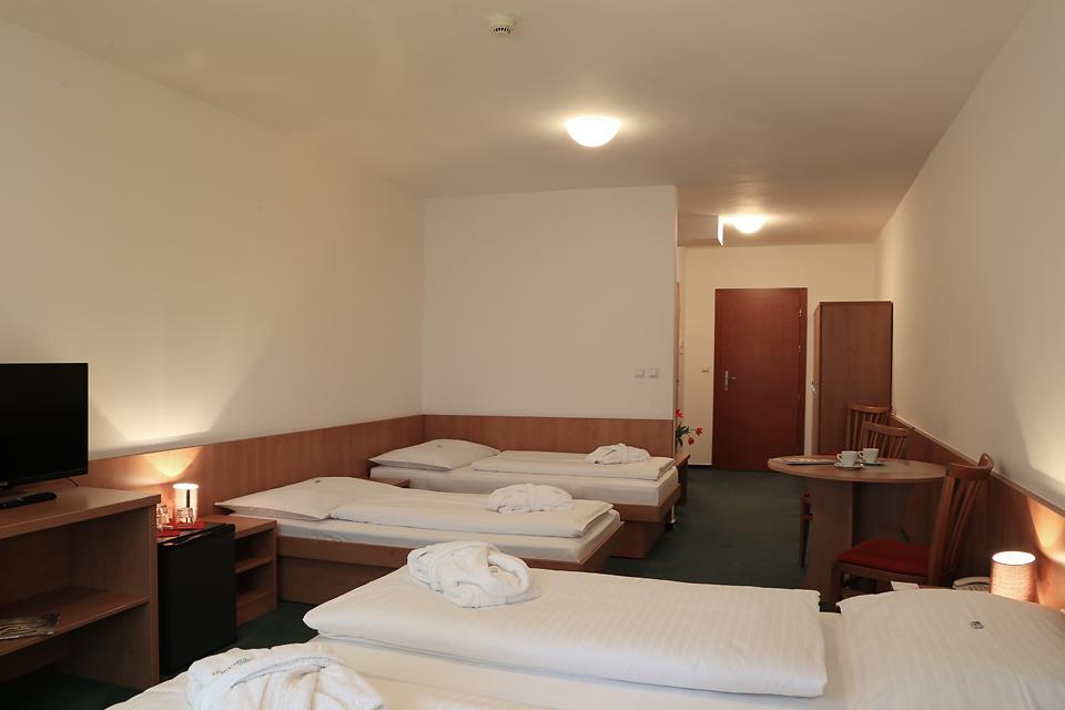 Hotel Popelka 布拉格 客房 照片
